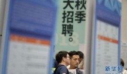 浙江求职现状最新爆料,机遇与挑战并存