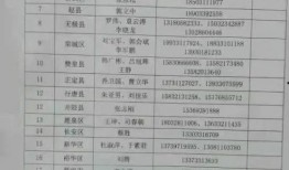 石家庄返石最新爆料,揭秘返石最新爆料与防疫措施