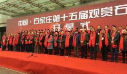 石家庄最新新闻爆料,突发事件引发全城关注