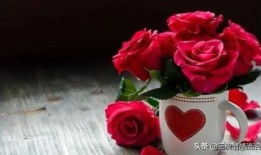 青岛玫瑰花爆料案件最新,真相与争议交织的悬疑故事